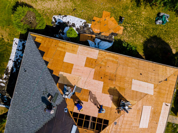 Best Roof Replacement Cost  in Trenton, GA