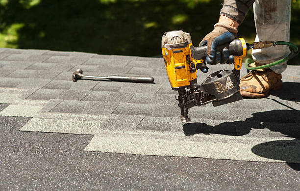 Best Gutter Installation and Roofing  in Trenton, GA