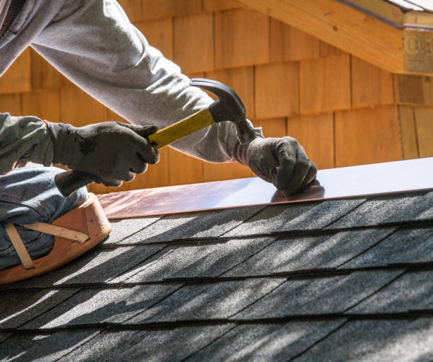 Best Best Roofing Contractors  in Trenton, GA